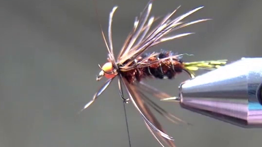 Thread whip-finished neatly behind the bead; the fly is fully tied with a clean head and collar.