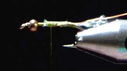 Six strands of Crystal Flash tied in at the bend forming a short tail; copper wire rib secured along the hook.