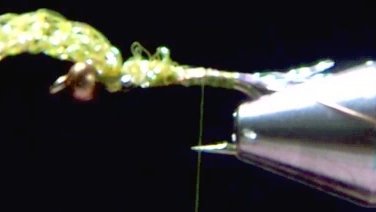 Olive diamond braid shellback tied in from the hook point to behind the bead; thread returned to the bend.