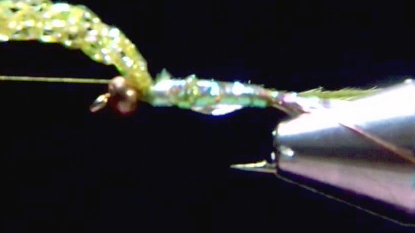 Single strand of olive ostrich herl tied in behind the bead; thin coat of uncured UV resin brushed over the body.