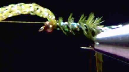 Ostrich herl palmered forward with gaps showing the tinsel; copper wire ribbing started to lock herl in place.