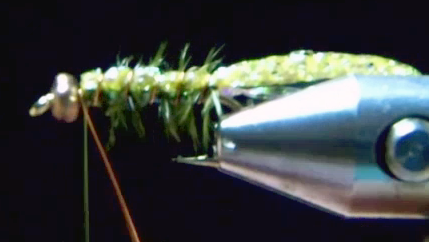 Completed ribbing with copper wire, creating segmented body; shellback aligned neatly along the top.