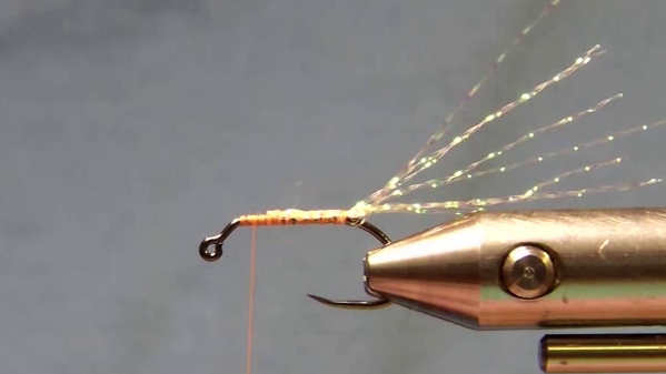 Hook with thread base covering front third and flash tied in, extending past the bend.