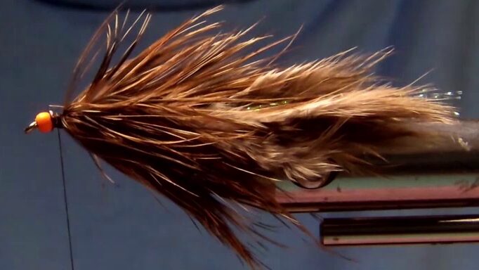 Multiple soft hackles palmered along entire shank, creating a dense, breathing profile behind the bead.