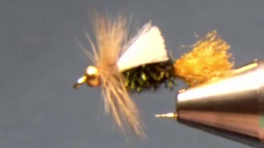 Completed Bead Head Poly Yarn Prince Nymph with bead, peacock body, amber tail, Poly Yarn wing, and hackle collar.