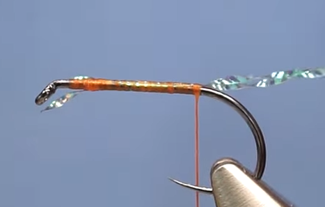 Hook with thread base and two-strand tail tied in, approximately the length of the hook shank.