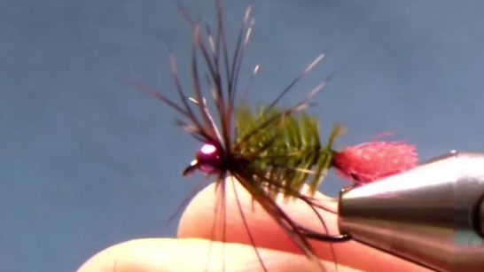 Malleefowl hackle tied in and wrapped three to four times around hook shank.