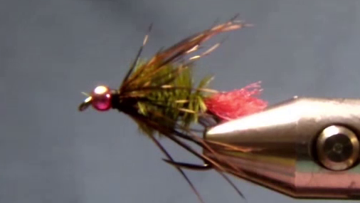 Finished Fed's Malleefowl Soft Hackle Red Tag fly with Malleefowl fibers trained into position using a hair dryer.