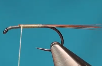 Hook with thread started and tail tied in.