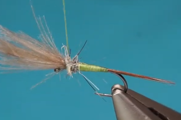 CDC feathers tied in forward and trimmed, thorax dubbed.