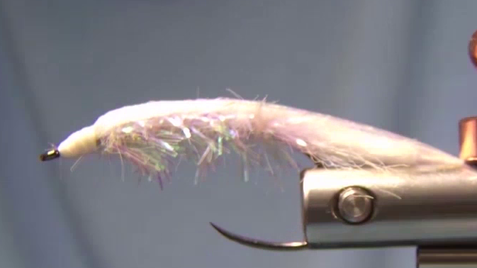 Wing tied in to match tail length and a solid, tapered thread head built at the front of the fly.